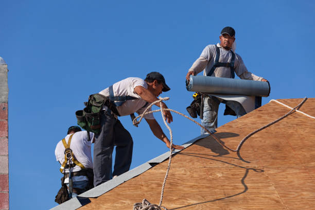 Best Local Roofing Companies  in Vernon Hls, IL