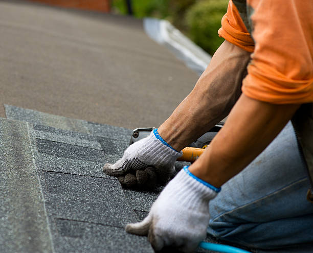 Best Commercial Roofing Services  in Vernon Hls, IL