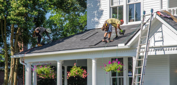 Best Metal Roofing Contractor  in Vernon Hls, IL